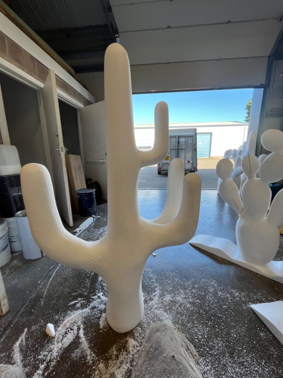 cactus - concede and sanded - polypros