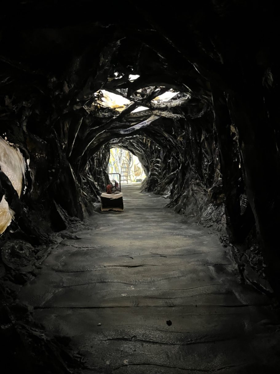 dr who cave sprayed with polypros